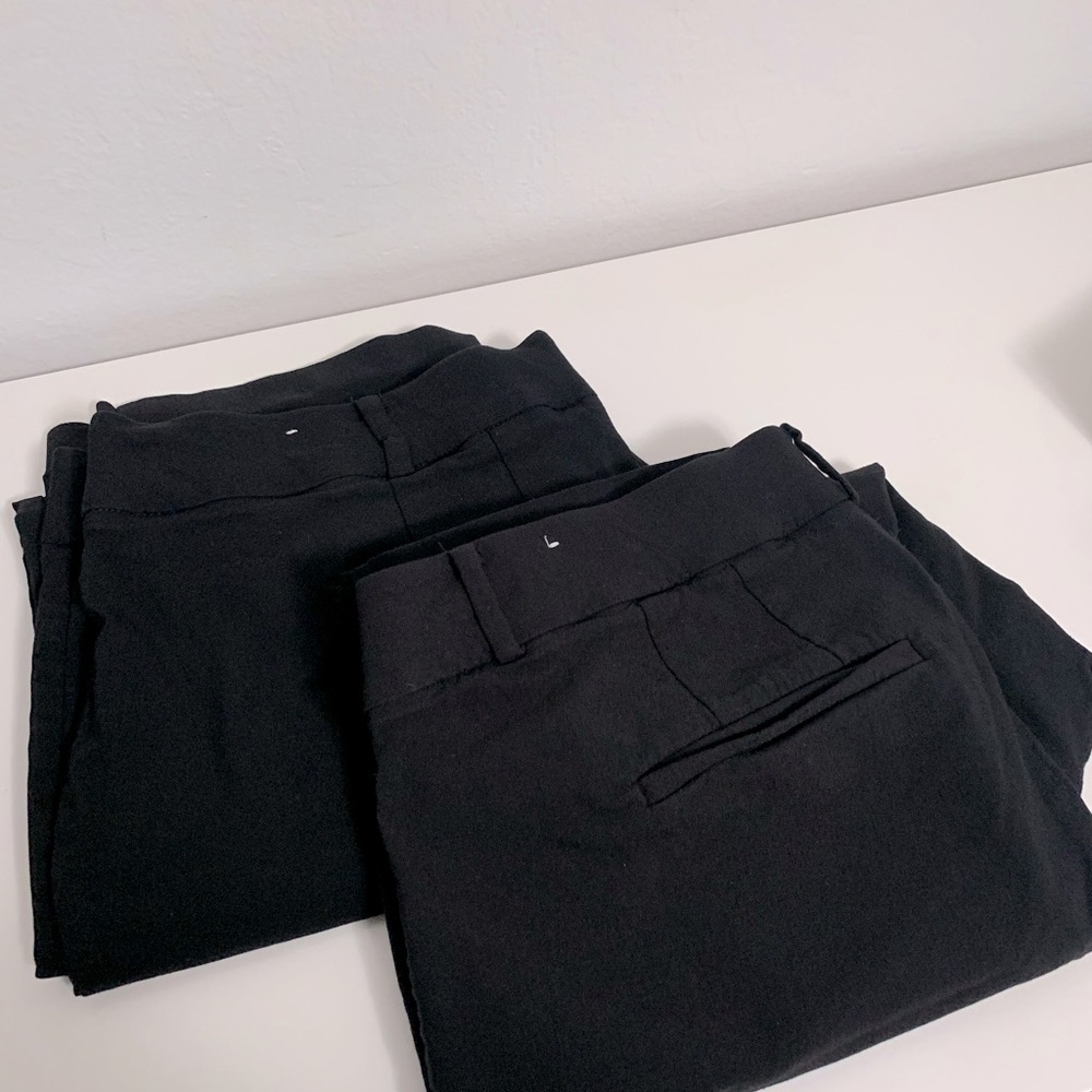 Lot of two pairs of Lane Bryant Allie pants 20 short